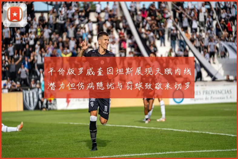 平价版罗威奎因坦斯展现天赋内线潜力但伤病隐忧与罚球致敬米切罗