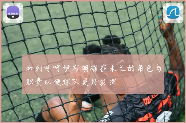 加利呼吁伊布明确在米兰的角色与职责以便球队更好发挥