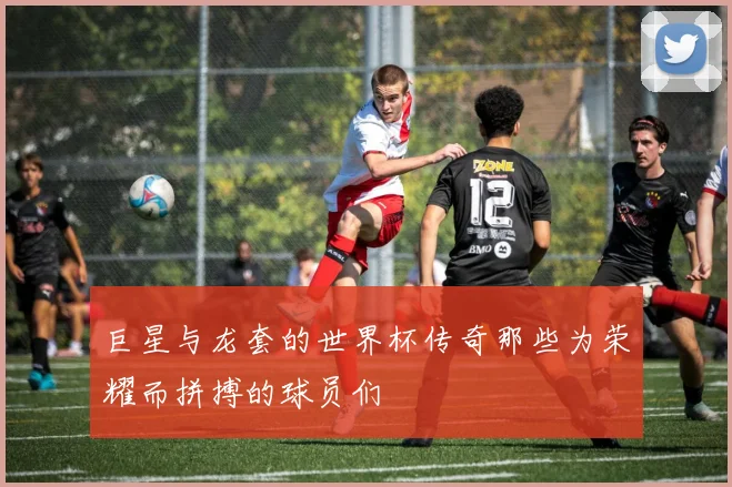 巨星与龙套的世界杯传奇那些为荣耀而拼搏的球员们